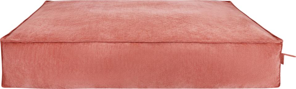 Fantail Stargaze Mellow Cover