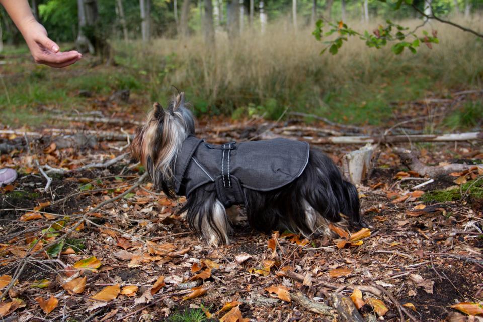 Companion ECO-life jacket