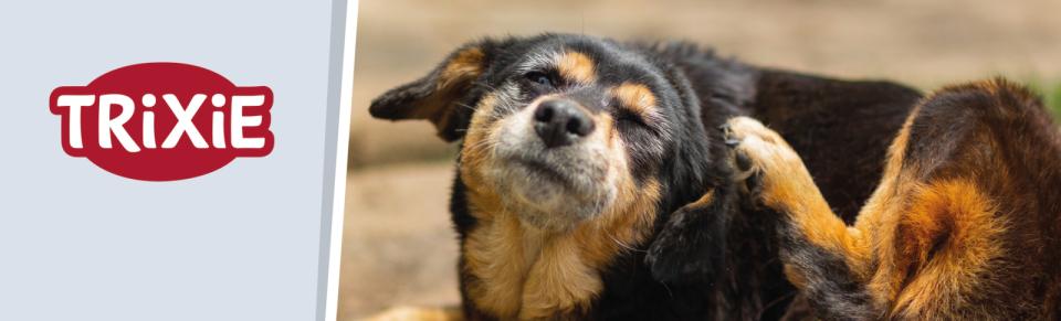 Magnet skilt t. Tego reol anti parasit