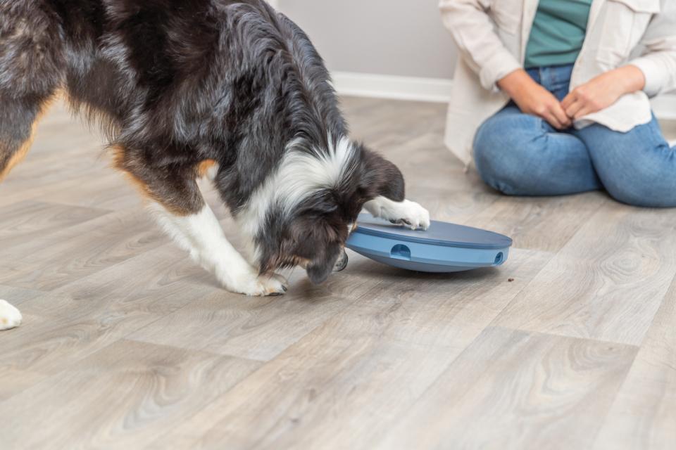 Trixie Dog Activity Rocking Maze, plast