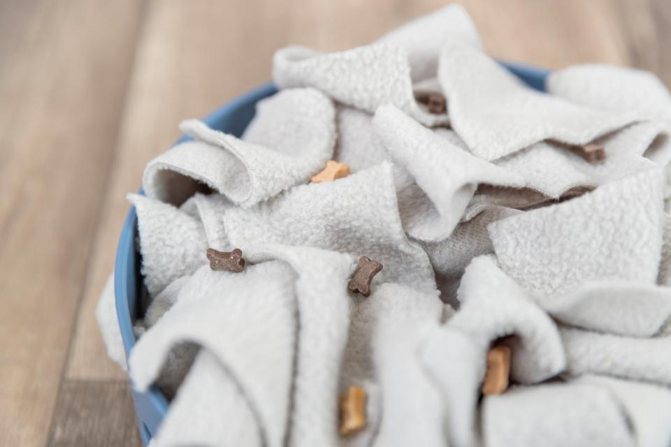 Trixie Dog Activity Hide'n'Sniff Bowl, plast