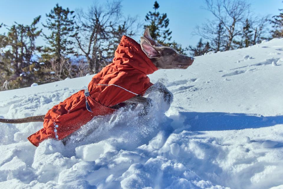 Hurtta Extreme Warmer III ECO