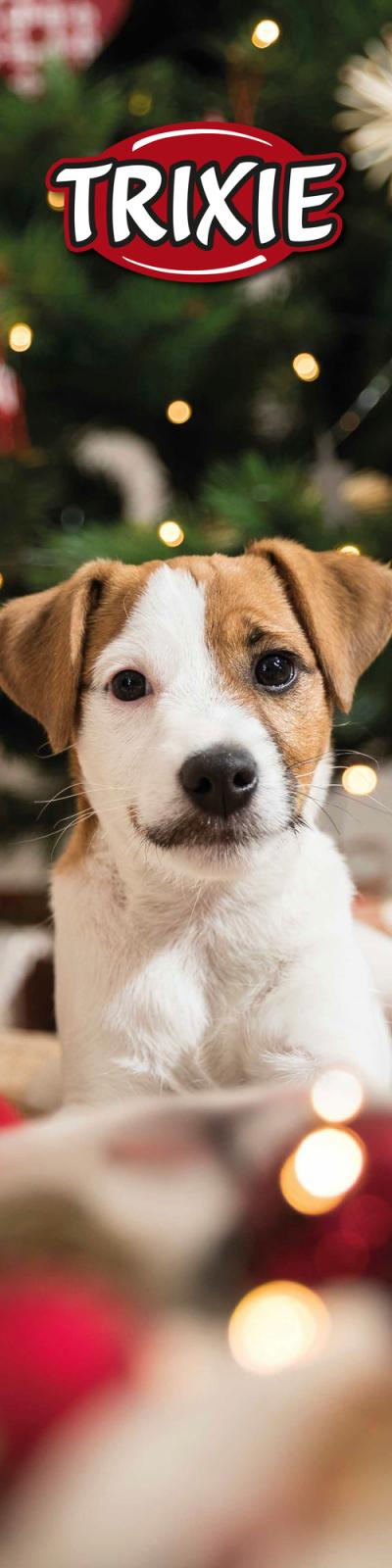 Trixie Banner Xmas