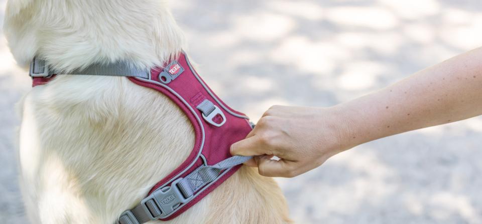 Trixie Premium Active hundesele