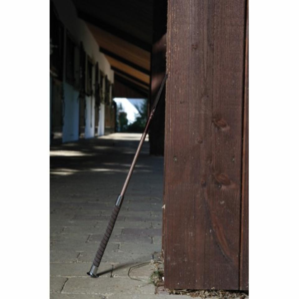 Equipage Springgerte