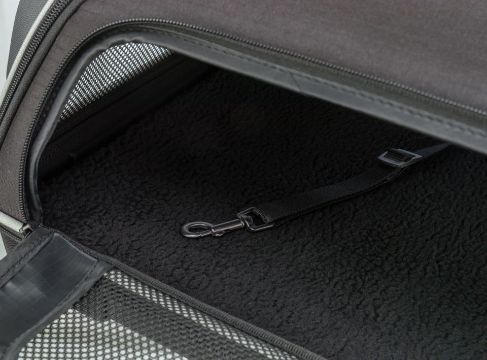 Trixie boarding airline carrier