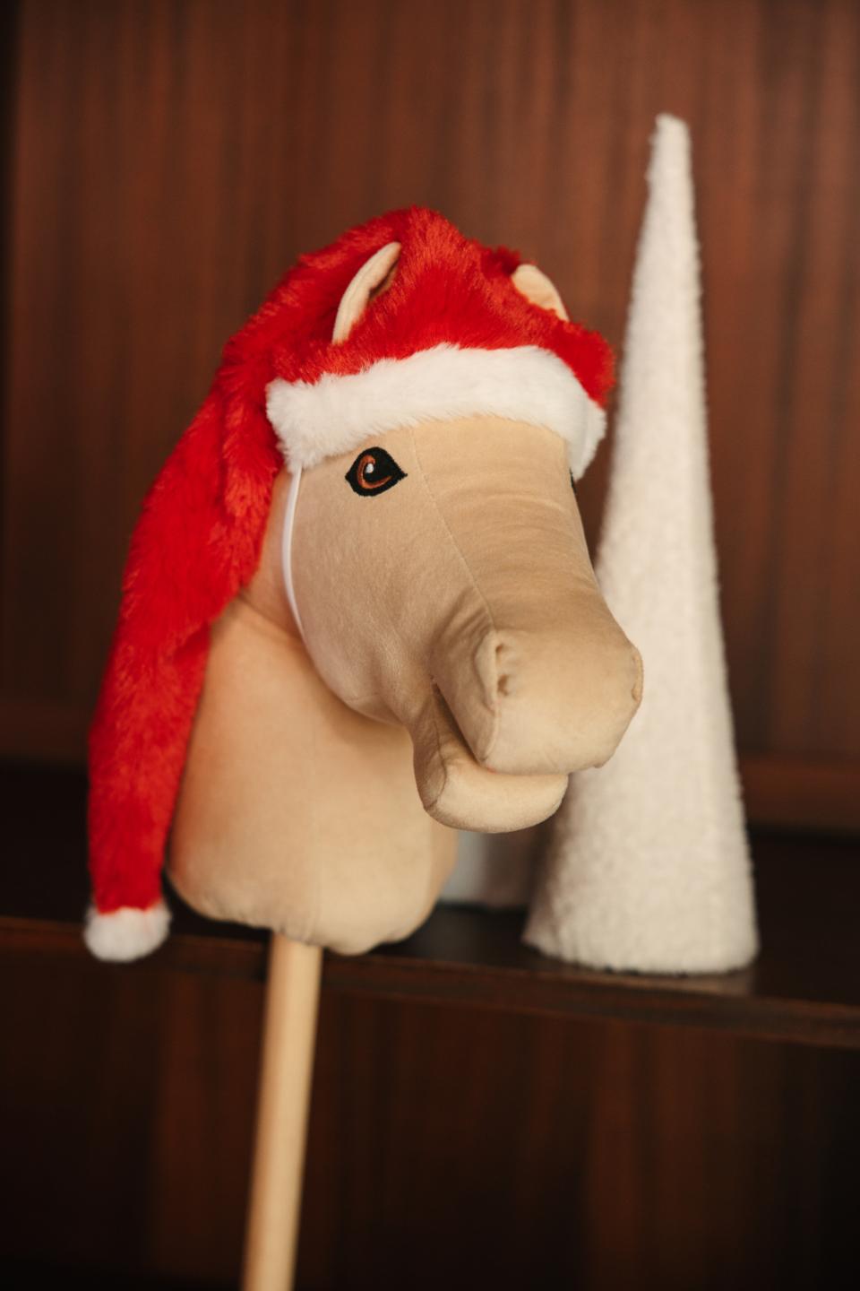 My Hobby Horse Weihnachtsmütze