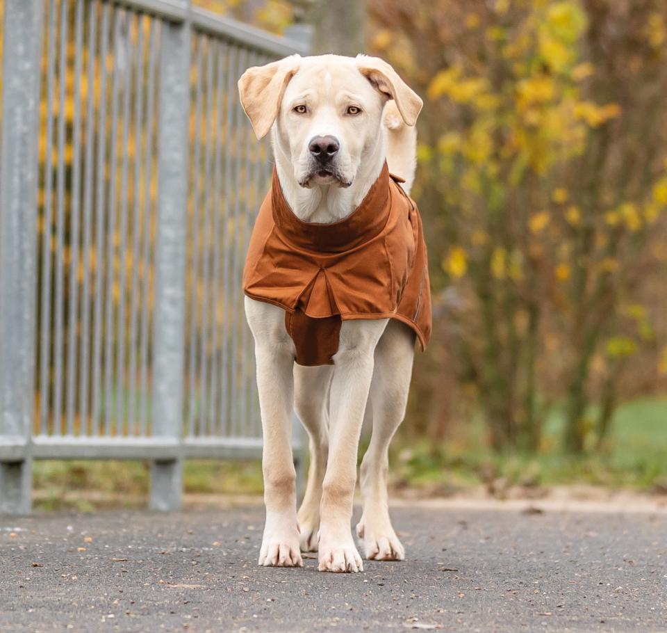 Trixie CityStyle Dublin Regenmantel für Hunde