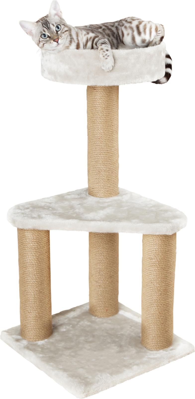 Ivan Scratching Post