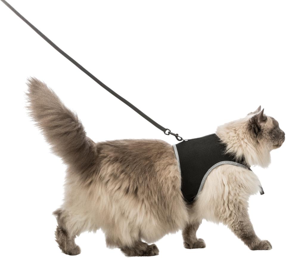 Soft Harness XXL with Leash