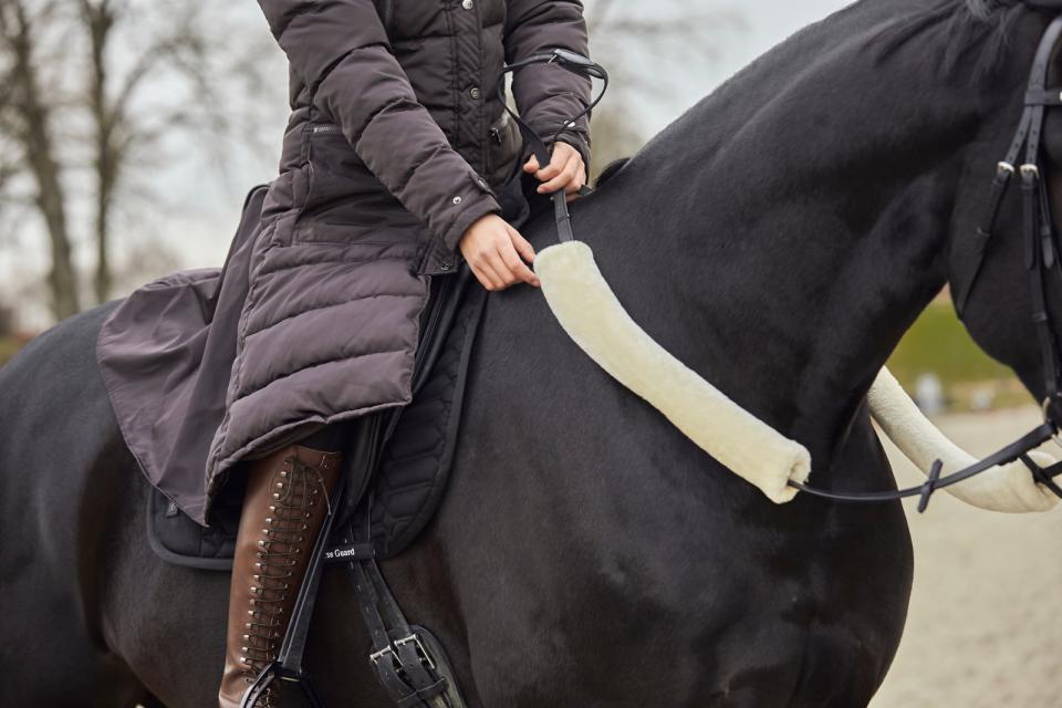 HorseGuard Skydd av tyglar