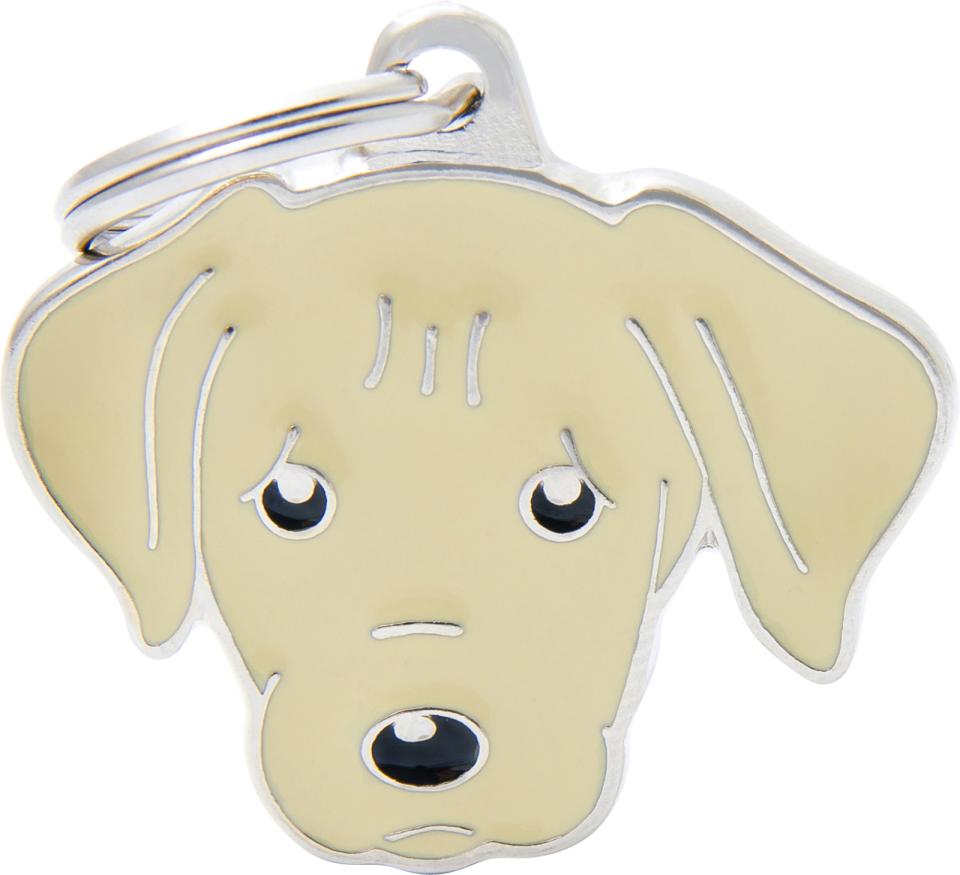 MyFamily Friends, Labrador retriever