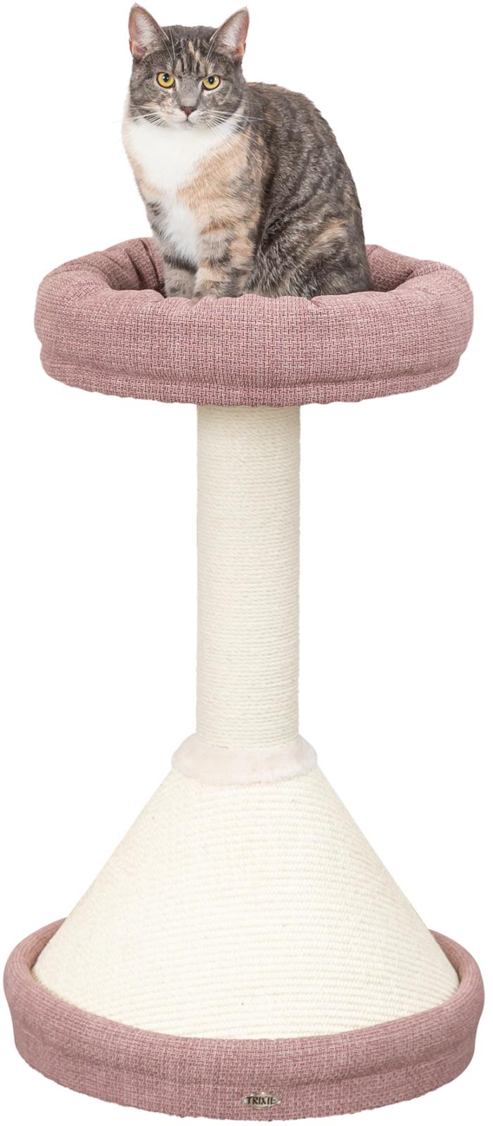 Trixie Viviana scratching tree, round