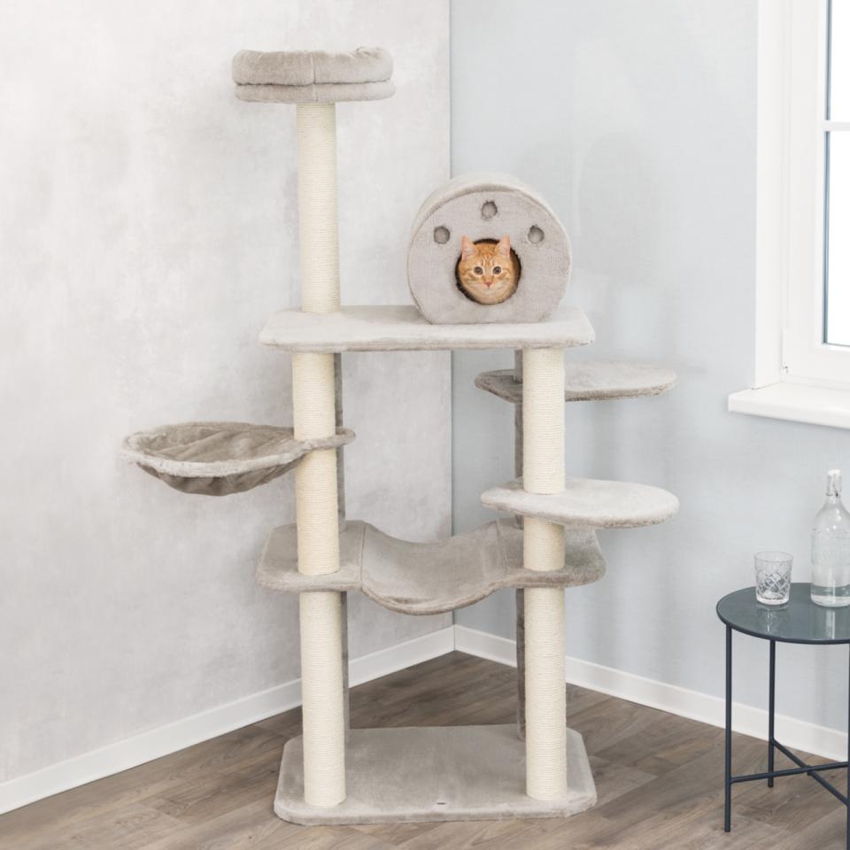 Fabiola Scratching Post