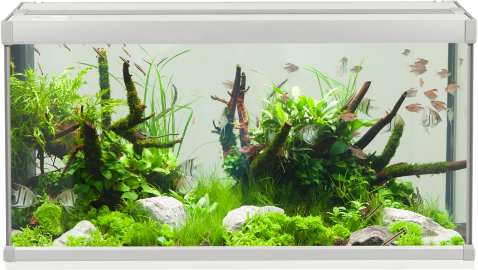 AkvaStabil FAMILY aquarium - 54 litre