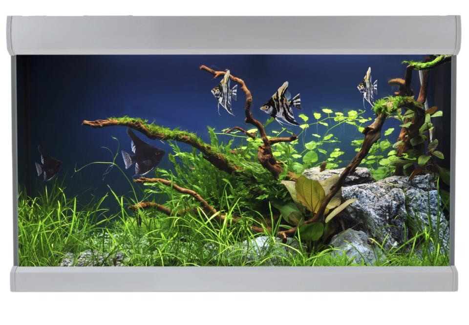 AkvaStabil FUSION aquarium