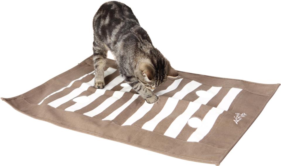 Pföteldecke Strategiespiel