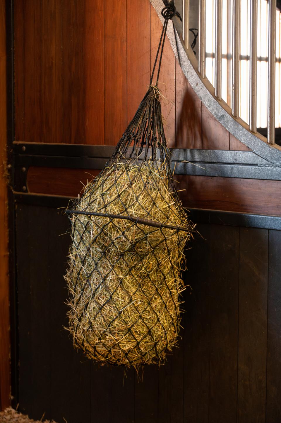 HorseGuard Samo Heunetze