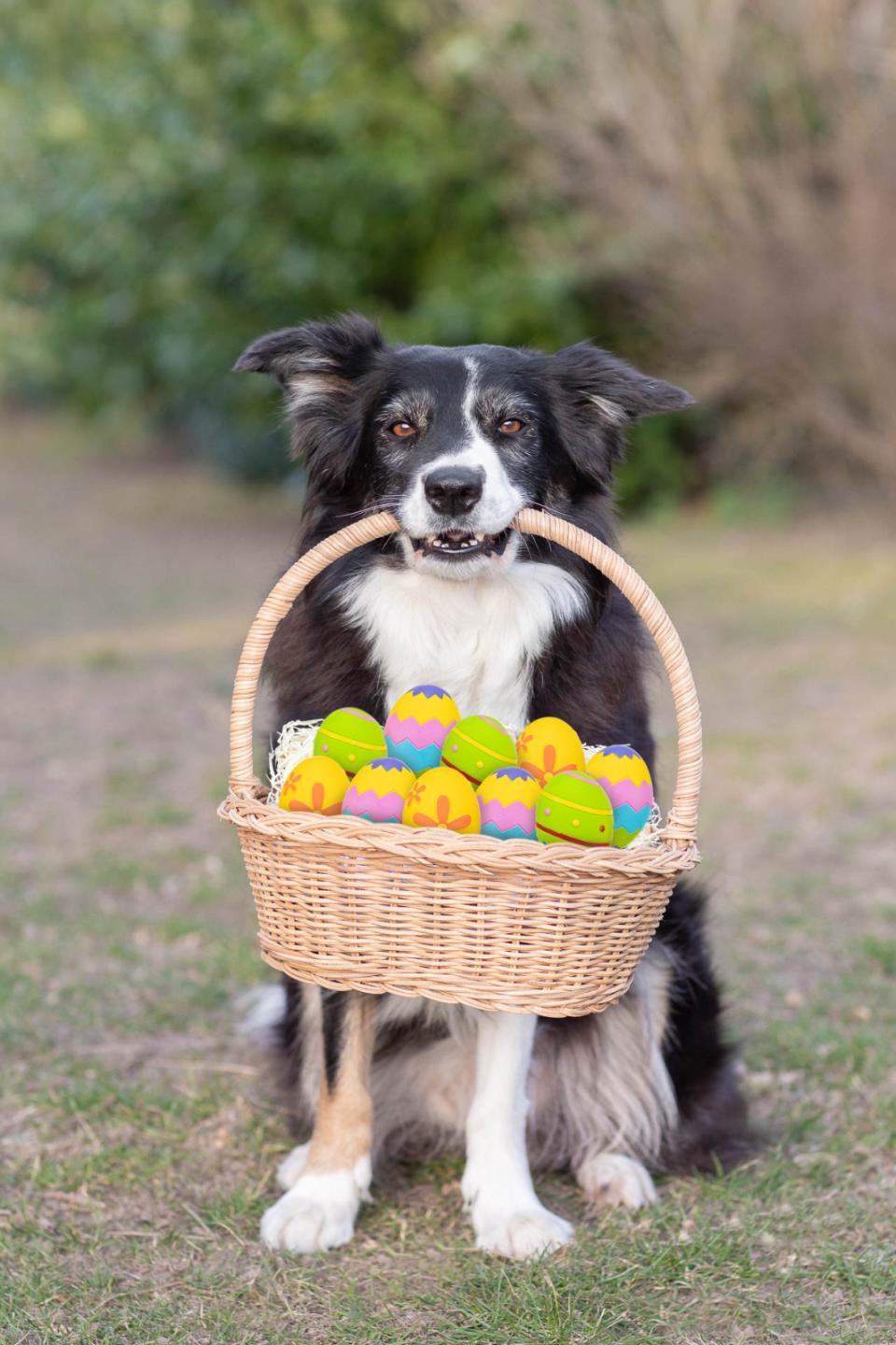Trixie Ostereier aus Latex