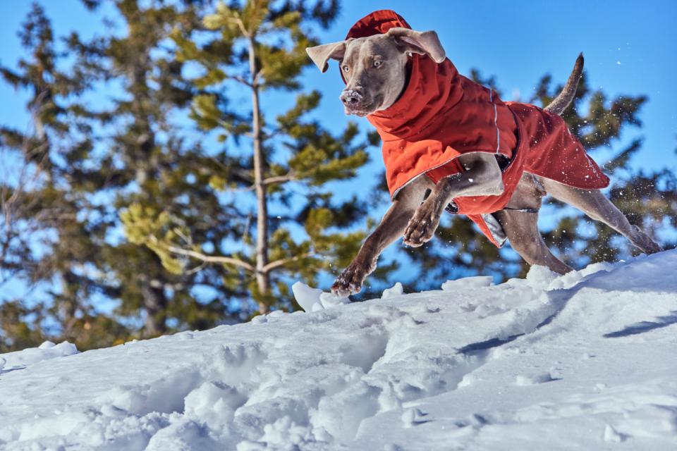 Hurtta Extreme Warmer III ECO