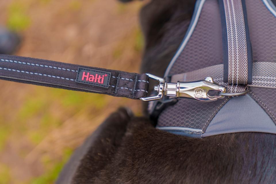 Halti BRIG safety dog line