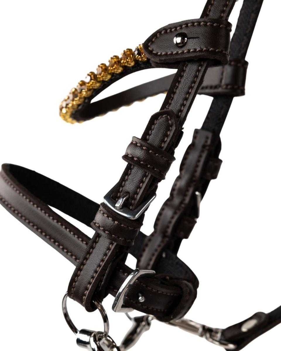 My Hobby Horse Träns brun, med guldstenar