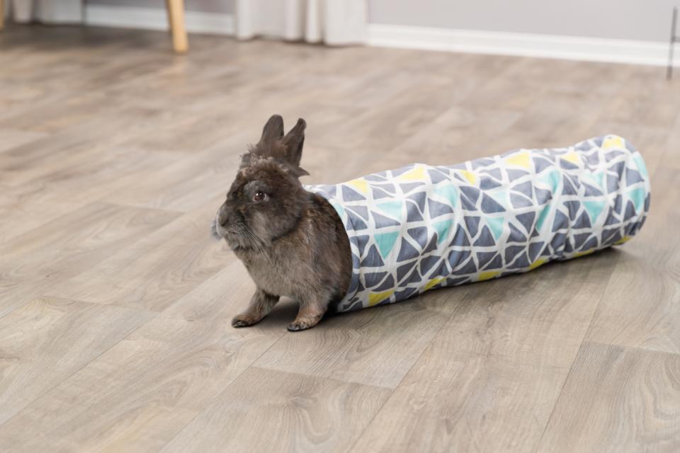 Sunny cuddly tunnel, plush