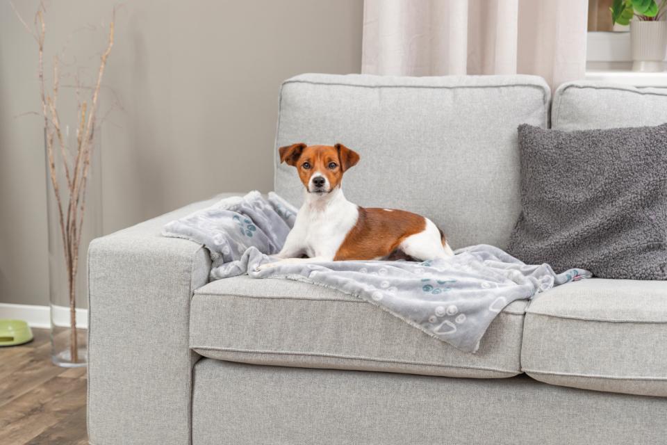 Trixie Jimmy blød plys tæppe