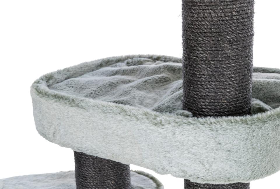 Trixie Miguel kradsetræ