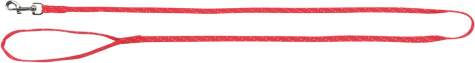 Harness with Leash, Reflecting