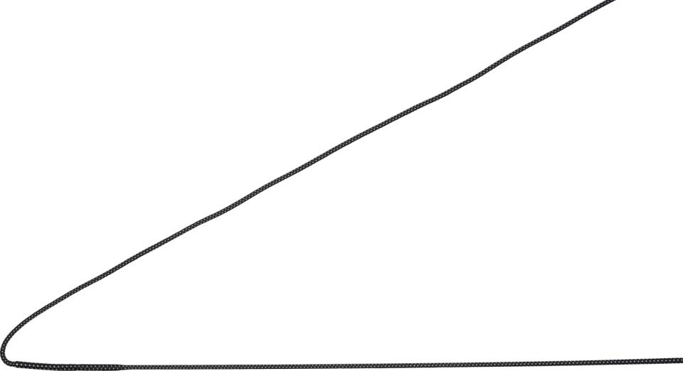 Equipage Luxury lunge whip