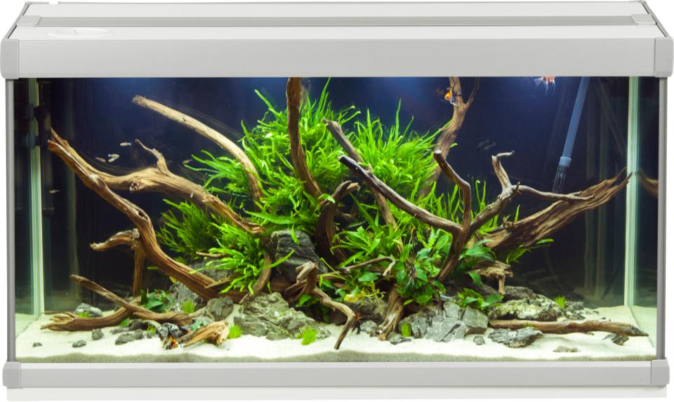 AkvaStabil FAMILY aquarium - 54 litre