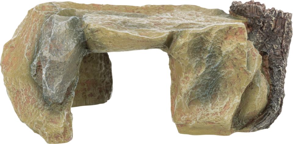 Rock Plateau with Tree Stump