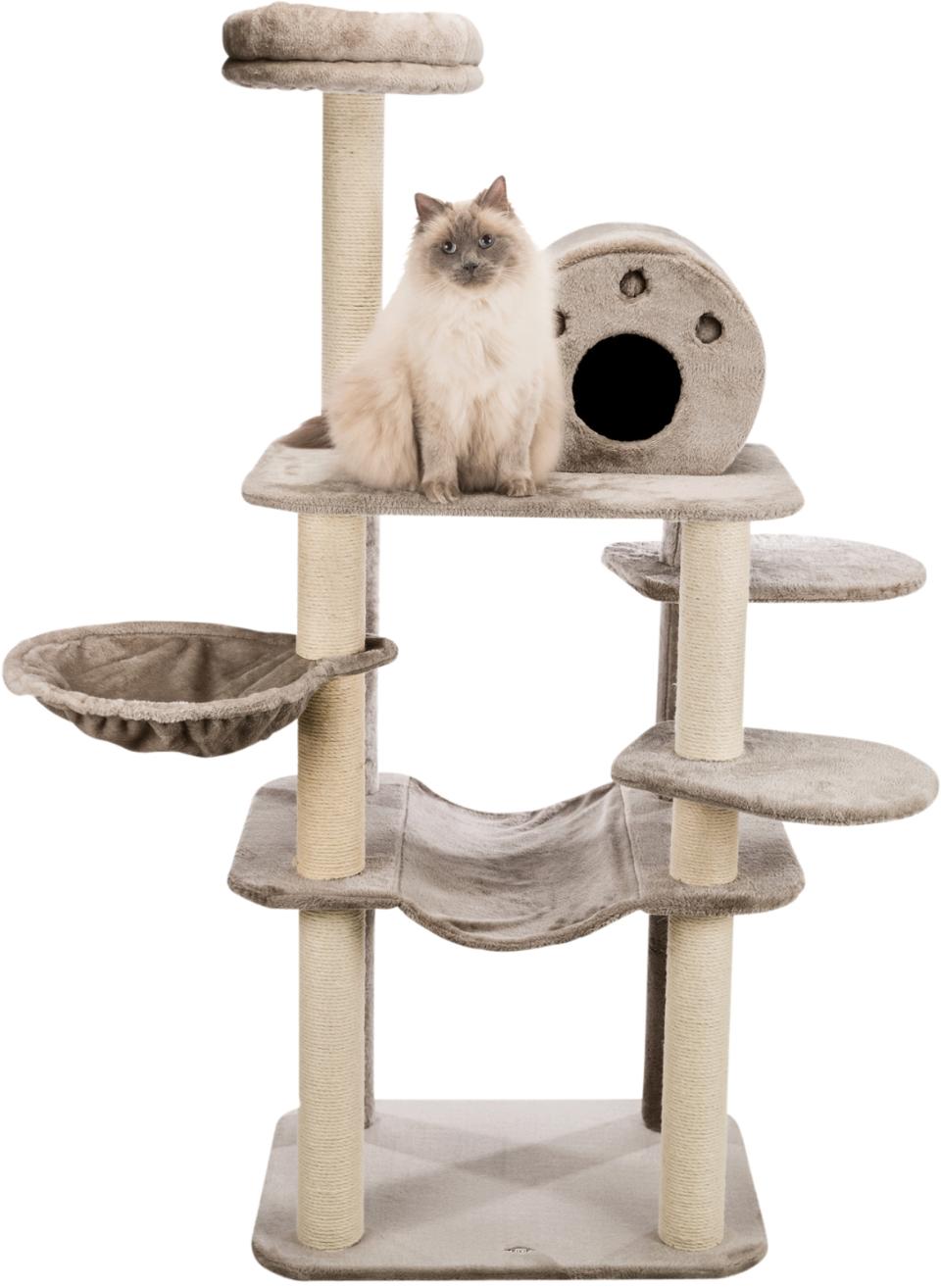 Fabiola Scratching Post