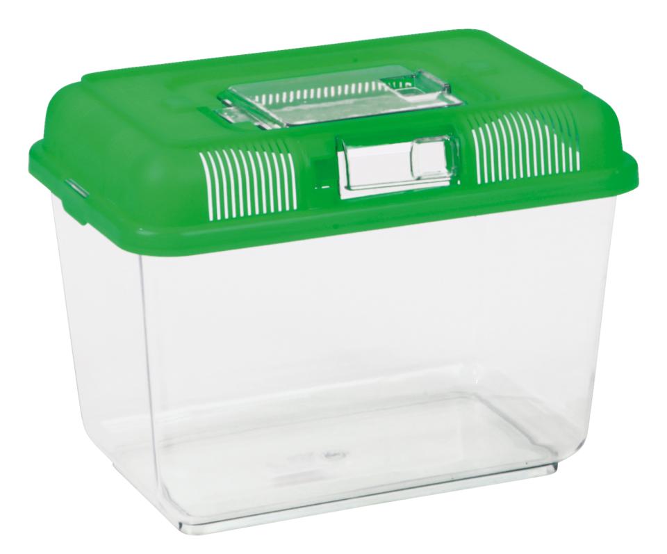 Transport and Feeding Box