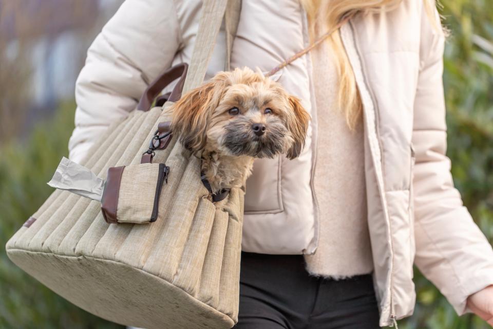 Trixie Carrier Sophie