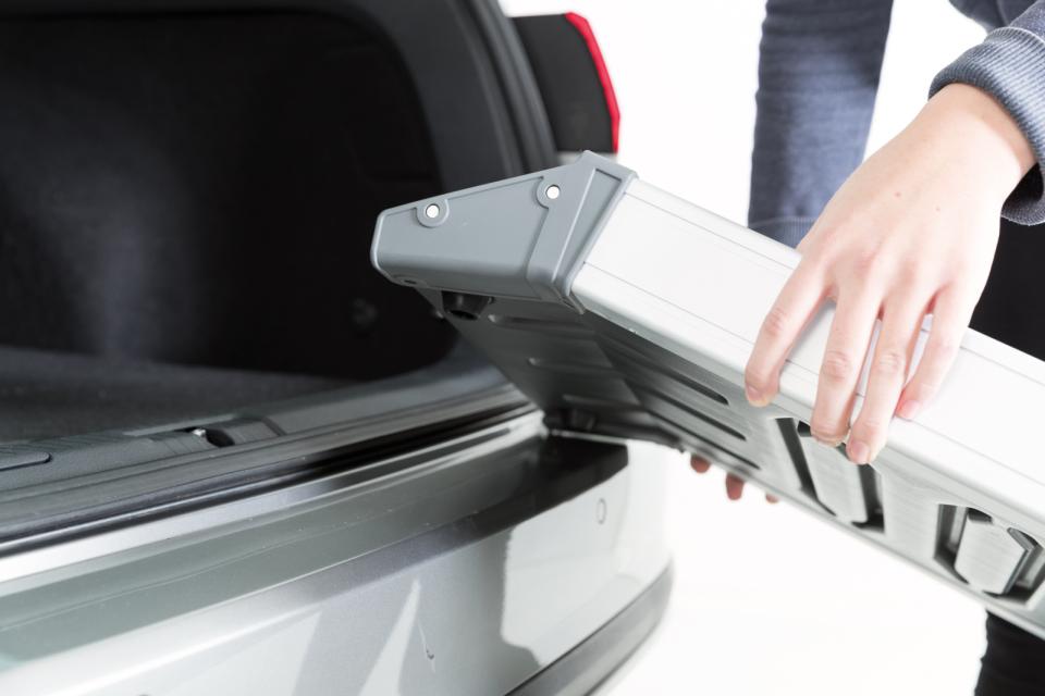 Petwalk Teleskopramp