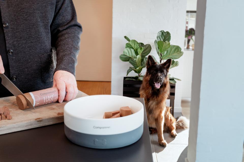 Companion+ FEAST foderpølse til hunde, Lam