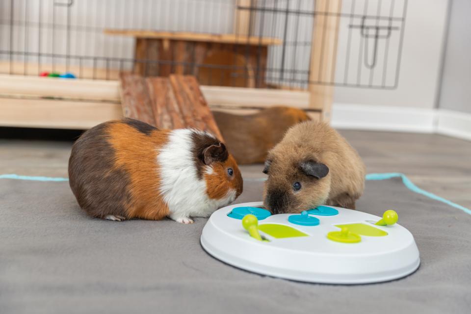 Flip Board Strategy Game