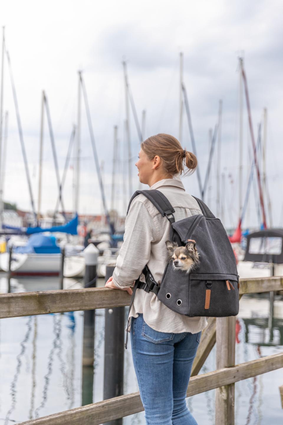 Trixie Bjorn BE NORDIC backpack,