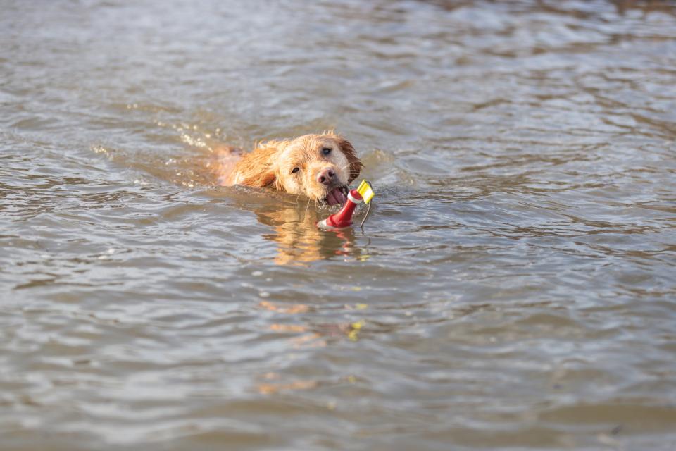 Trixie Aqua legetøj snack bøje i TPR