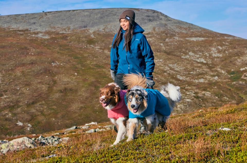 Hurtta Expedition Parka II dog rug