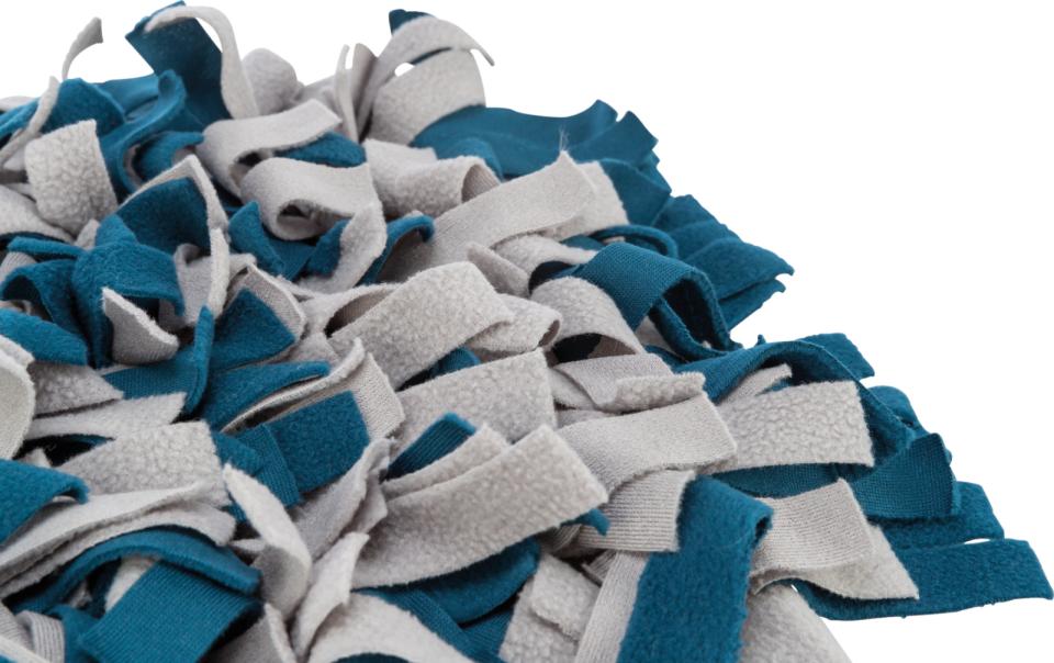 Jolly Paw Sniffing carpet