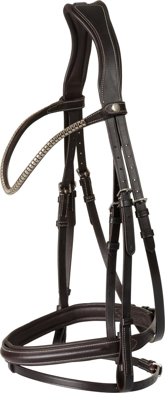 CATAGO Brooklyn bridle with flash noseband