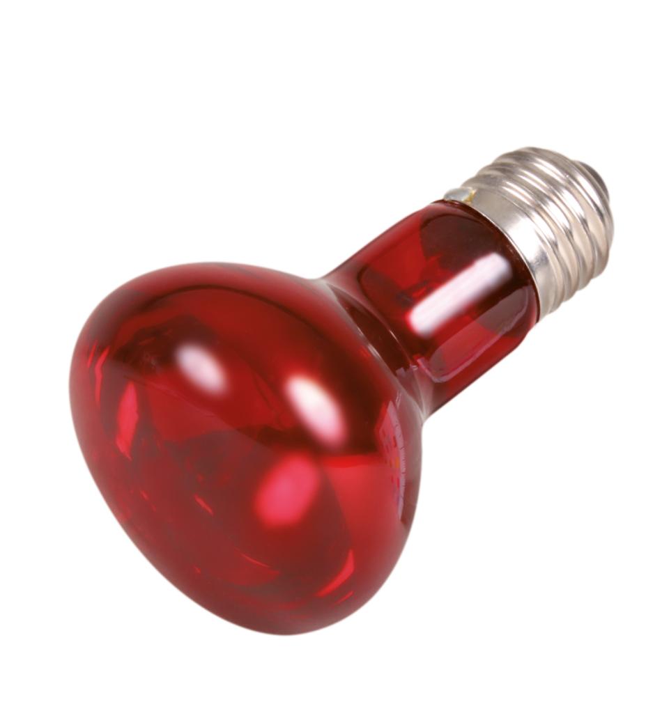 Infrarot Wärme-Spot-Lampe