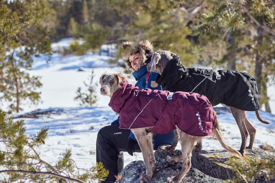 Hurtta Extreme Warmer III ECO dog coat