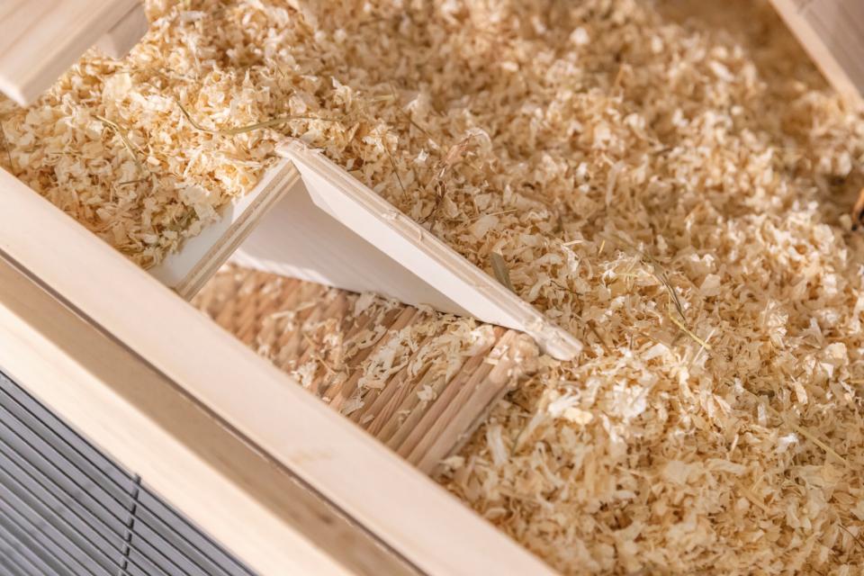 Trixie Watch box with tunnel