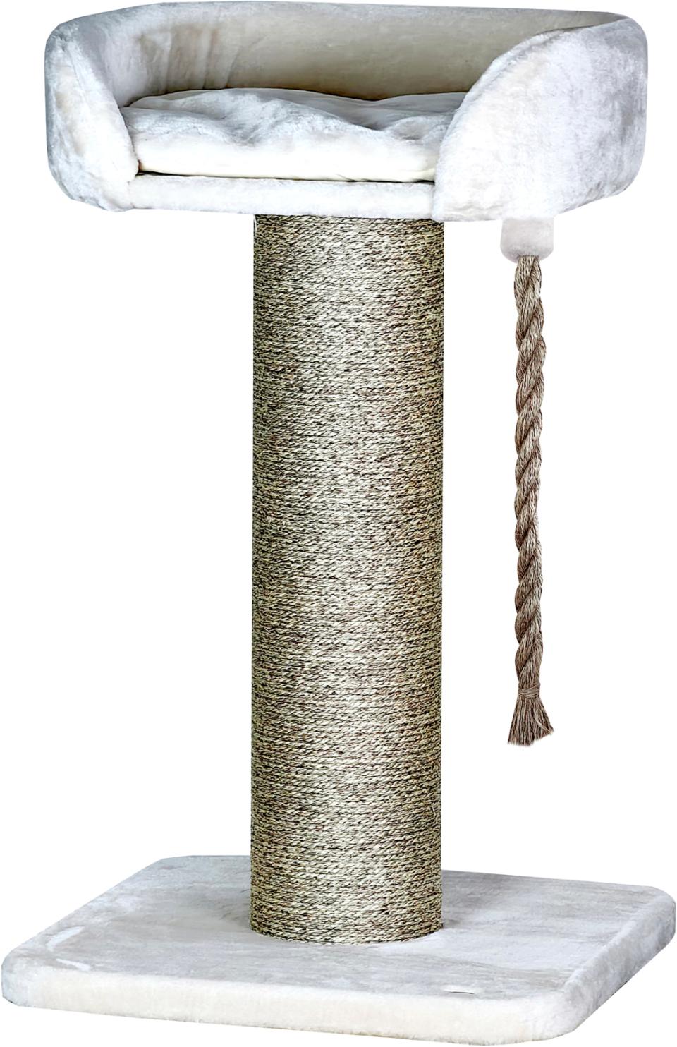 Companion cat scratching post, Lion