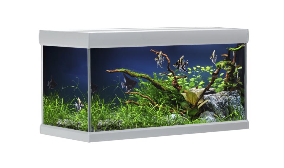 AkvaStabil FUSION aquarium