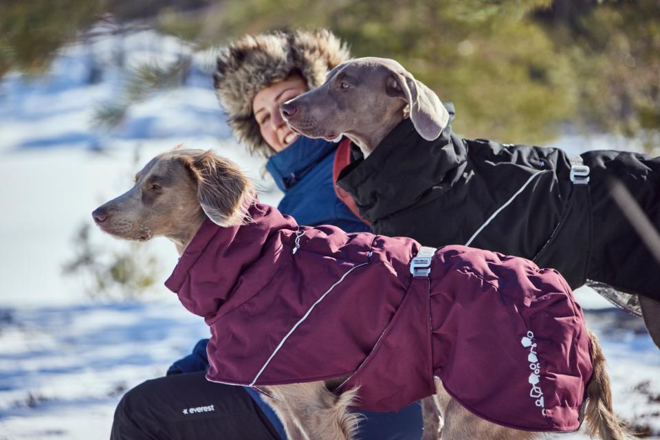 Hurtta Extreme Warmer III ECO dog coat